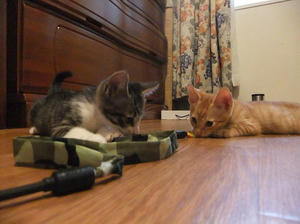 DSCF2990.JPG