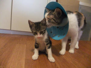 DSCF2984.JPG