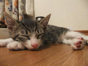 DSCF3021.JPG
