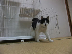 DSCF3040.JPG