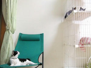 DSCF3060.JPG