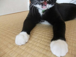 DSCF3105.JPG