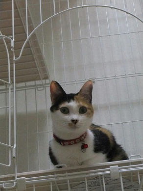 DSCF3091.JPG