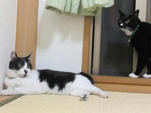DSCF3089.JPG