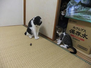 DSCF3169.JPG
