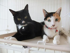 DSCF3099.JPG