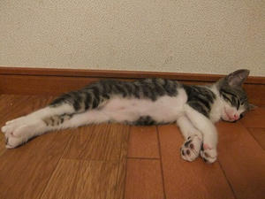 DSCF3049.JPG