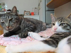 DSCF3181.JPG