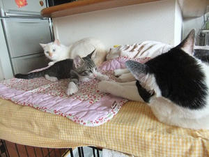 DSCF3173.JPG