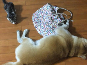 DSCF3153.JPG