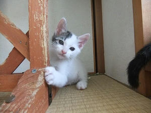 DSCF3261.JPG