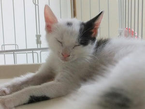 DSCF3280.JPG