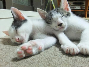 DSCF3277.JPG