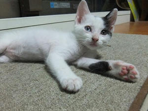 DSCF3268.JPG
