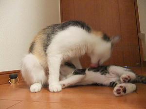 DSCF3177.JPG