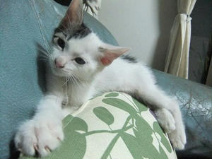 DSCF3409.JPG