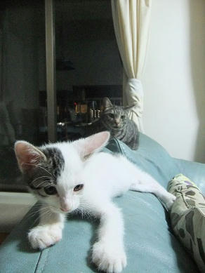 DSCF3403.JPG