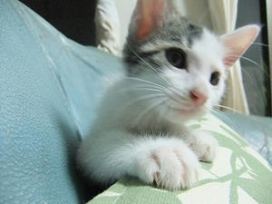 DSCF3413.JPG