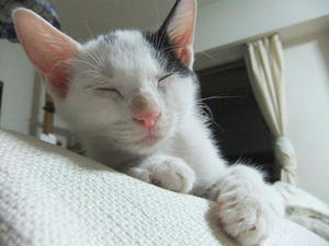 DSCF3477.JPG
