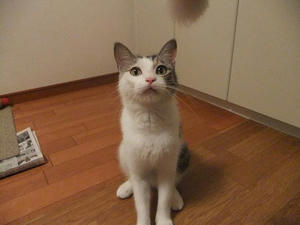 DSCF3338.JPG