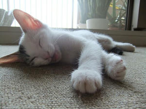 DSCF3475.JPG