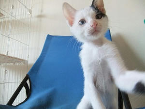 DSCF3454.JPG