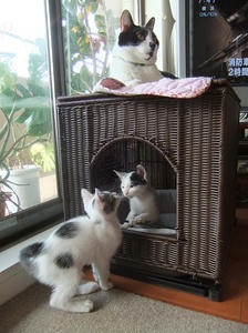DSCF3498.JPG