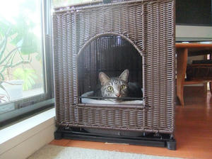 DSCF3507.JPG