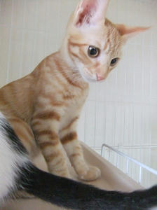 DSCF3549.JPG