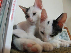 DSCF3495.JPG