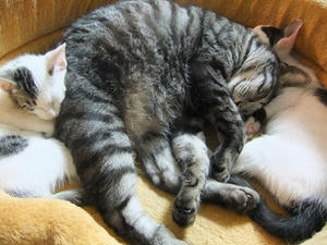 DSCF3560.JPG