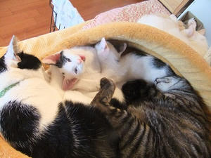 DSCF3594.JPG