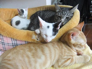 DSCF3587.JPG