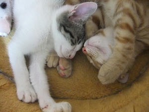 DSCF3598.JPG