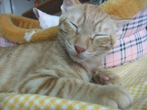 DSCF3588.JPG