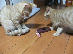 DSCF3674.JPG