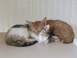 DSCF3656.JPG