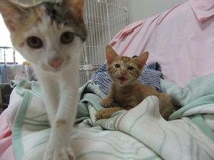 DSCF3672.JPG