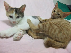 DSCF3690.JPG