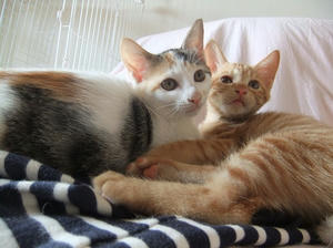DSCF3686.JPG