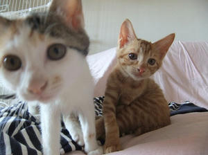 DSCF3687.JPG