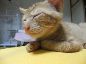 DSCF3677.JPG