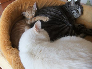 DSCF3711.JPG
