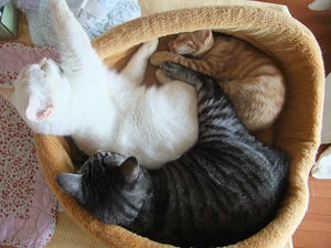 DSCF3698.JPG