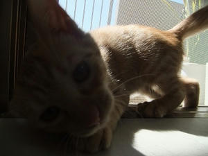 DSCF3742.JPG