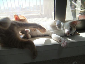 DSCF3739.JPG
