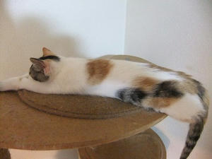 DSCF3776.JPG