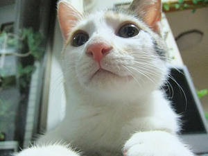 DSCF3793.JPG