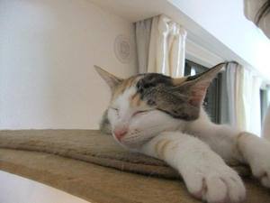 DSCF3779.JPG