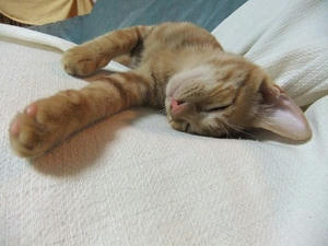 DSCF3856.JPG
